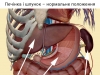 Печінка і шлунок Печінка і шлунок
